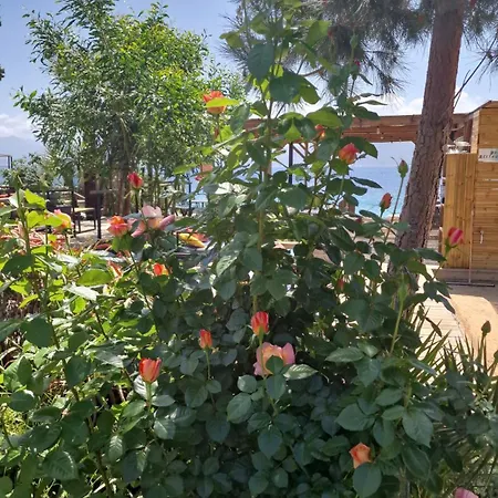 فندق L'escale 3*