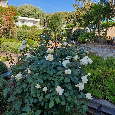 L'escale Porto Pollo